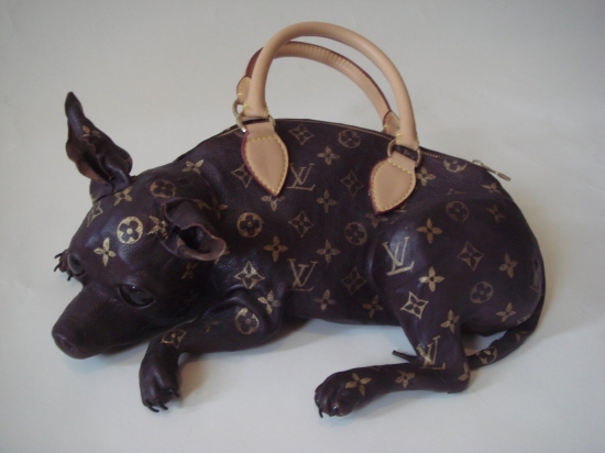 Chihuahua Luis Vuitton bag
